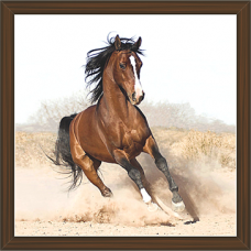 Horse Paintings (HS-3416)